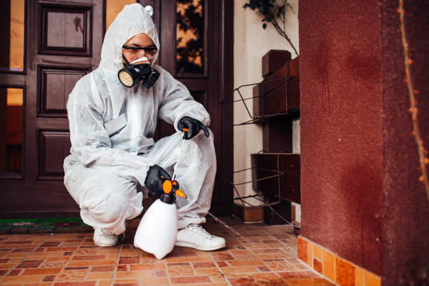 Reliable Cockroach Control contractor in Andover, MN by Nex Pest Control