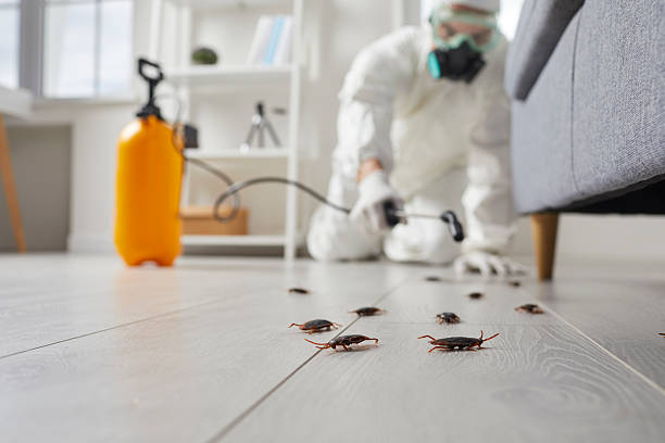 Affordable Cockroach Control solutions in Andover, MN